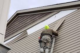 Best Vinyl Siding Installation  in Parkway, CA